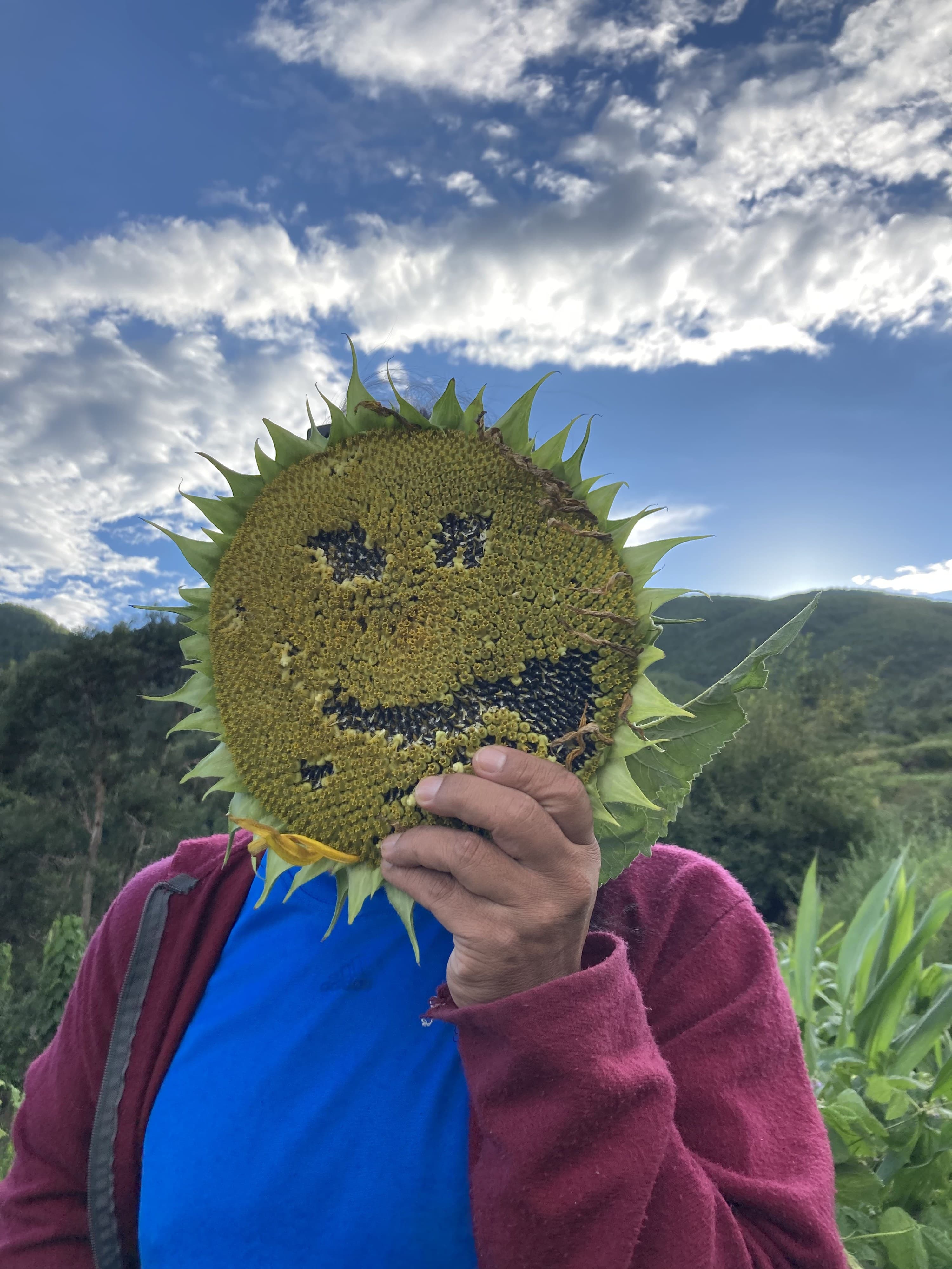 Mask Archaeology