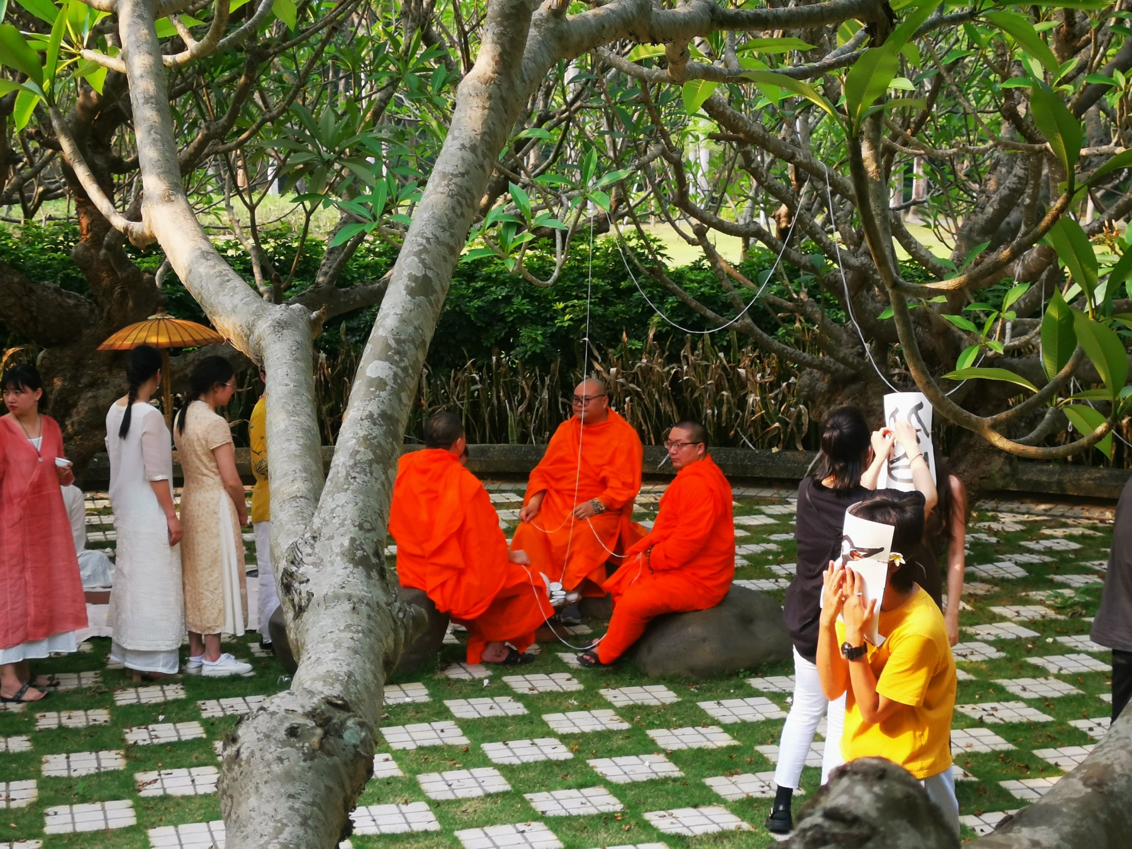 Zhaojian · Gathering